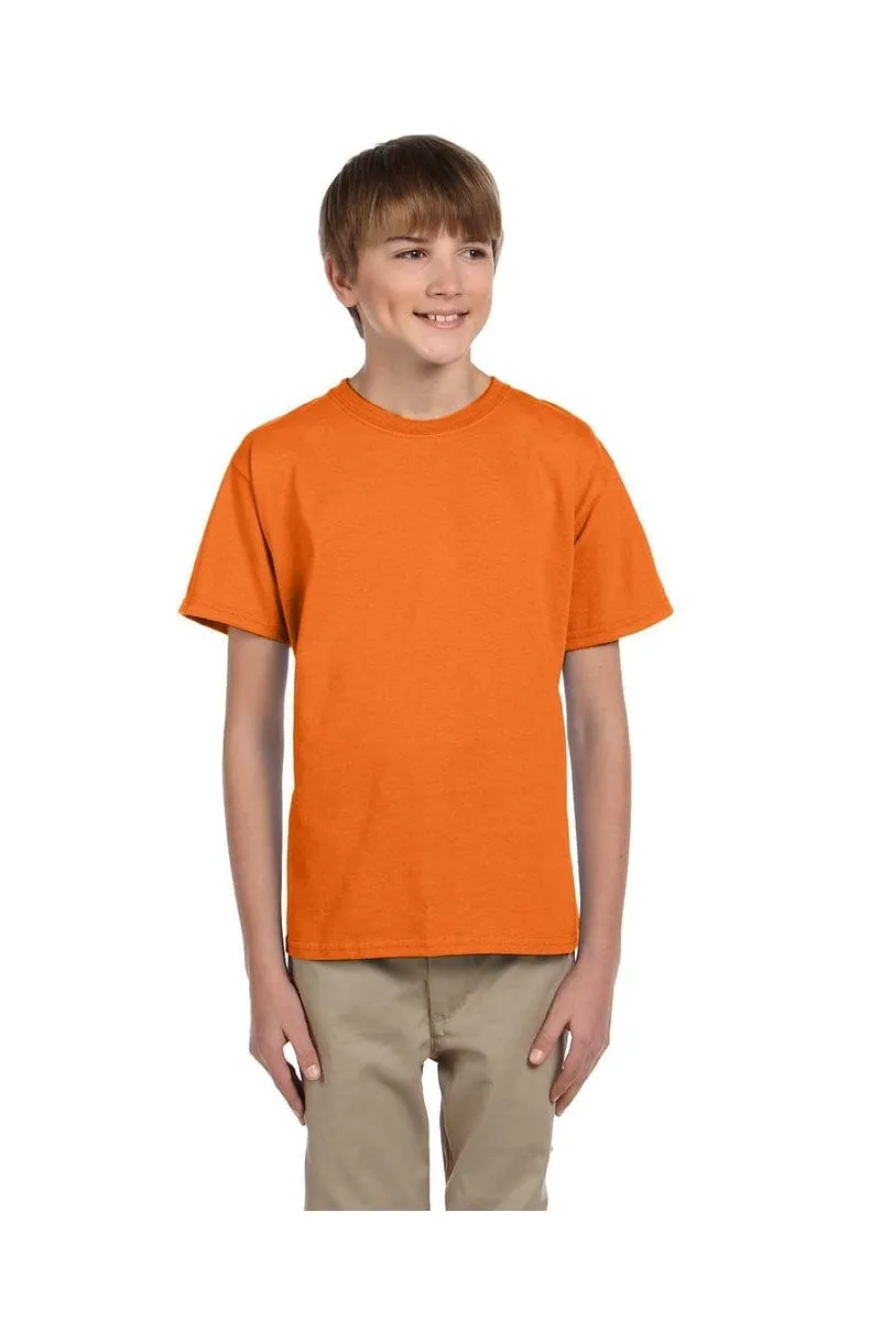 Fruit of the Loom 3931B: Youth 5 oz. HD Cotton™ T-Shirt, Traditional Colors