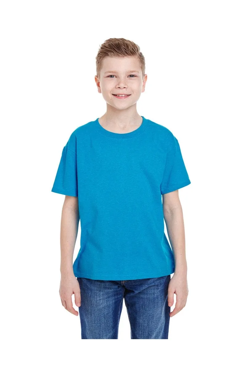 Fruit of the Loom 3931B: Youth 5 oz. HD Cotton™ T-Shirt, Traditional Colors