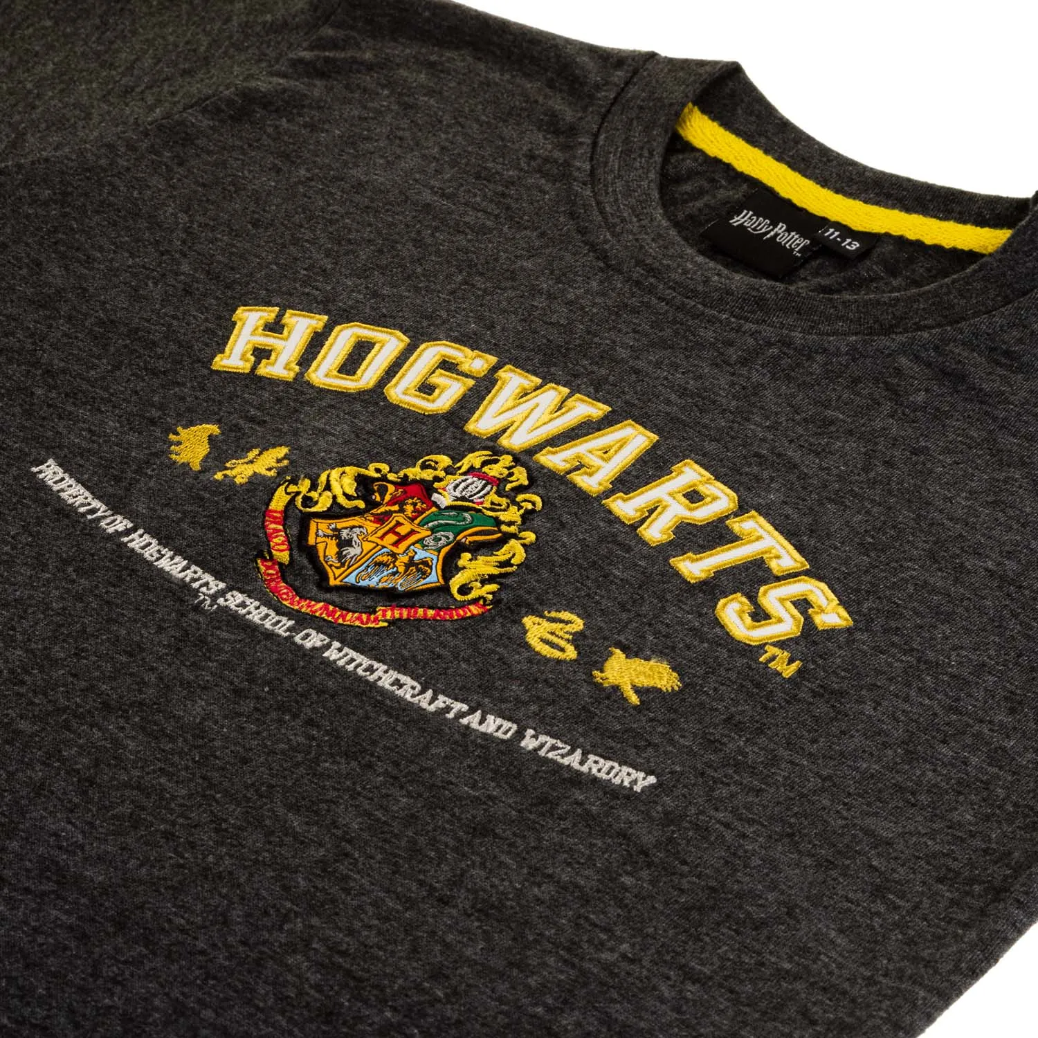 Hogwarts Applique Tee Kids