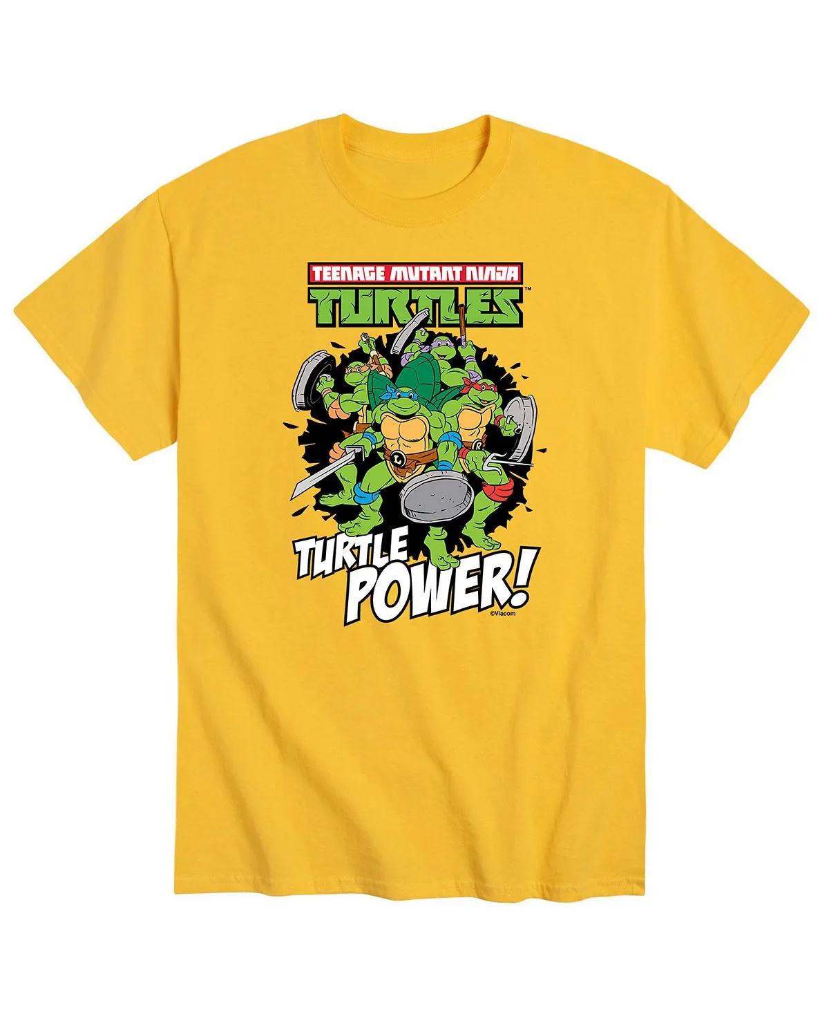 Men's T-shirt teenage mutant ninja turtles power AIRWAVES